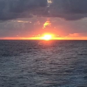 Meet your Posher, Teddie